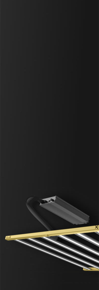 Section 5 Mobile Background