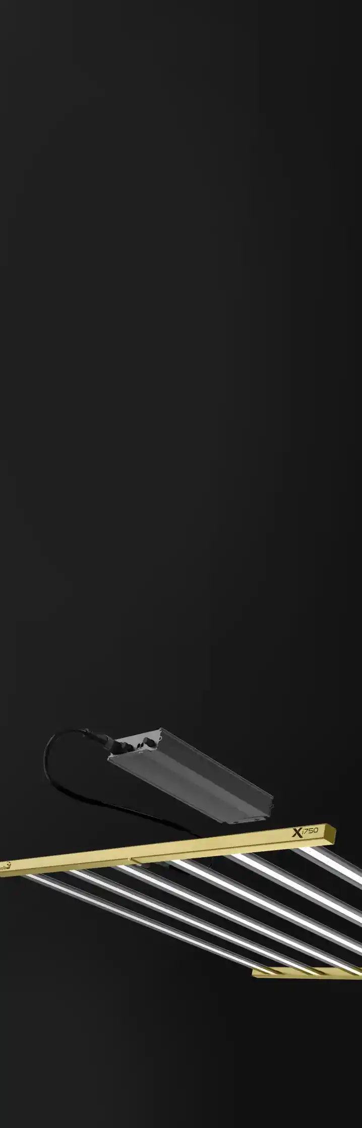 Section 5 Mobile Background