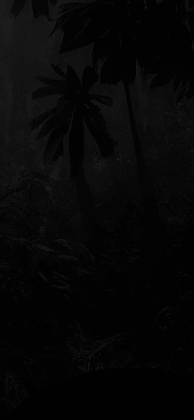Section 9 Mobile Background
