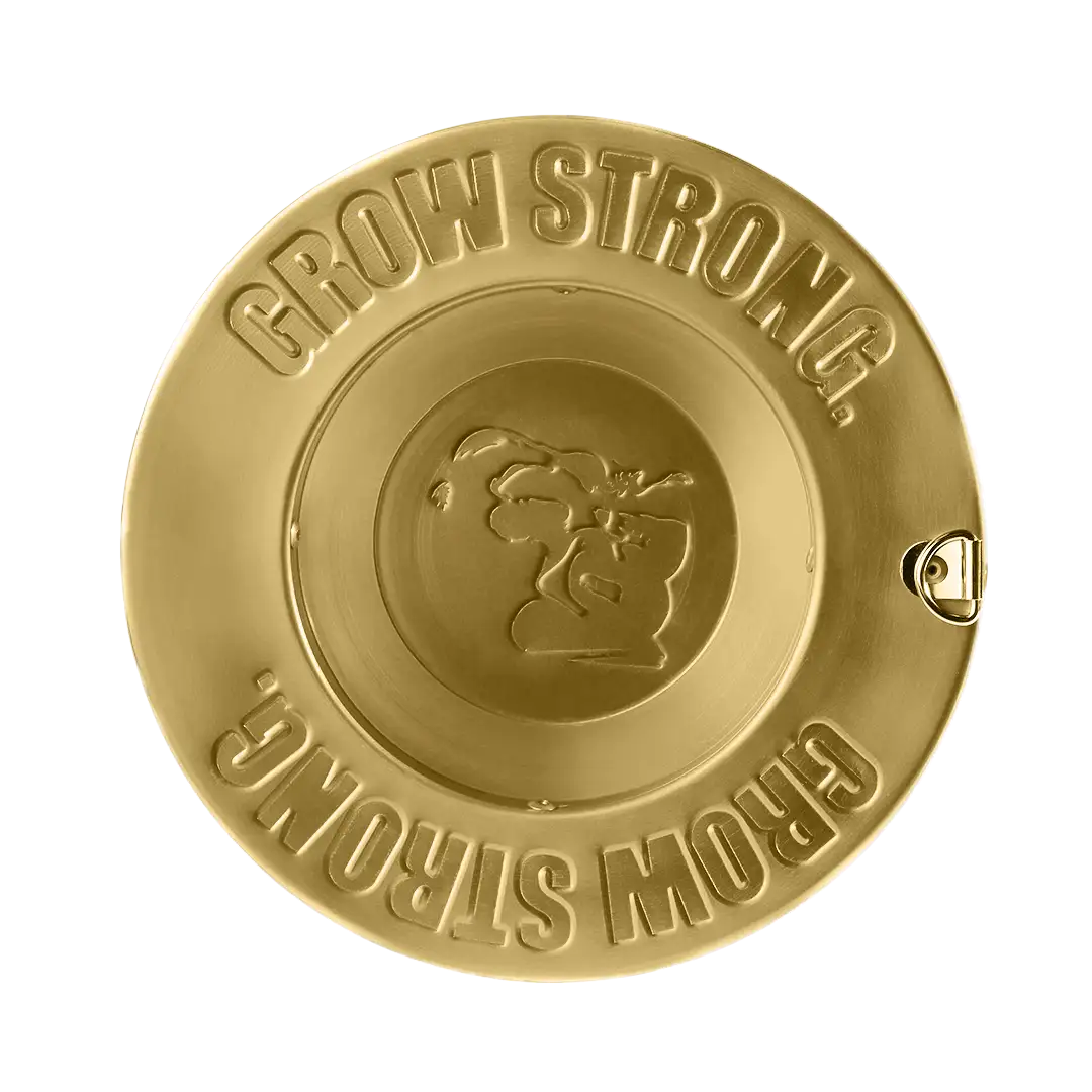 Gorilla Carbon Filter