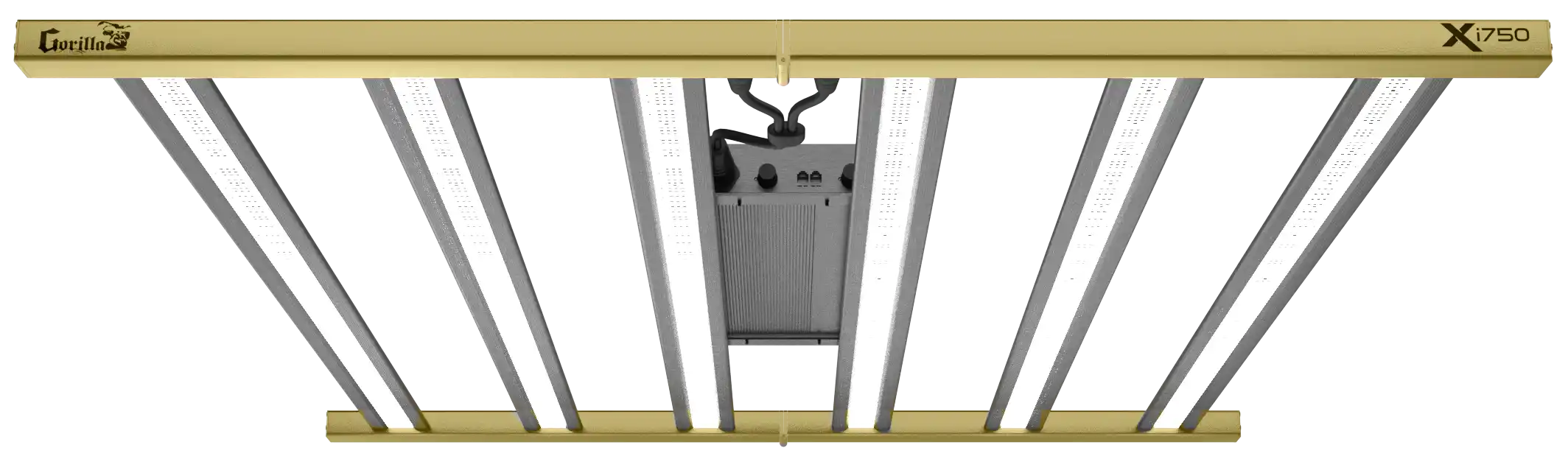 Xi 220