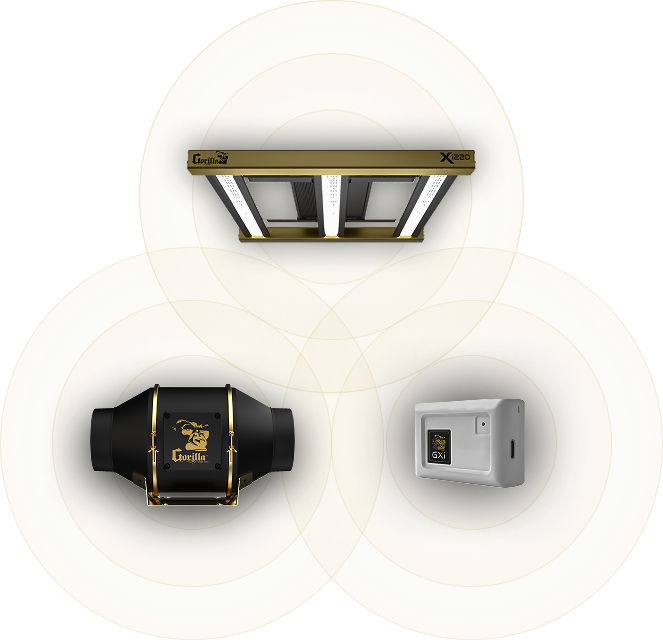 Products Overview