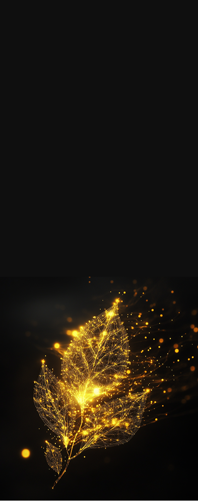 Section 7 Mobile Background