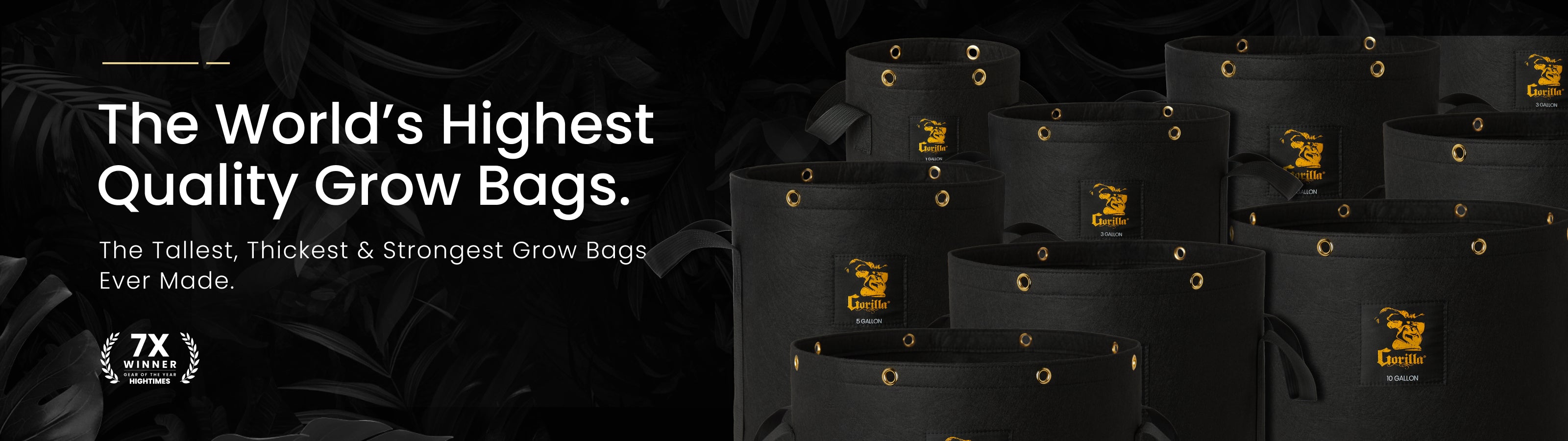 Black grow bags with gold logos on a black background, emphasizing high-quality grow bags.