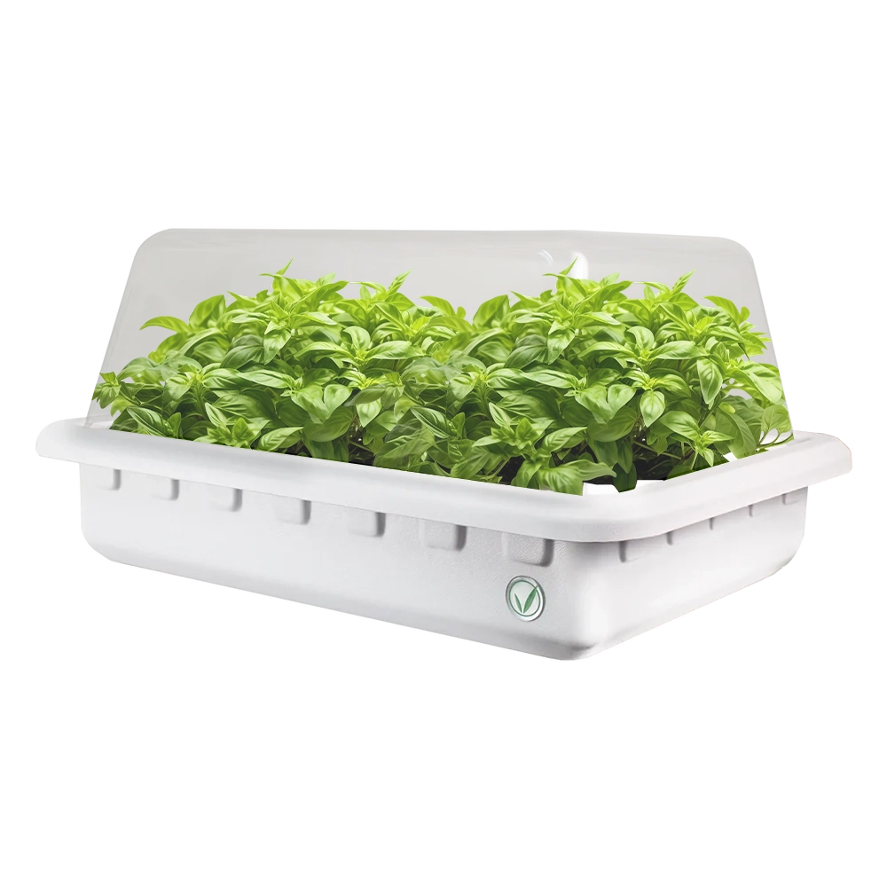 Hydroponic Cloner System - 50 Site