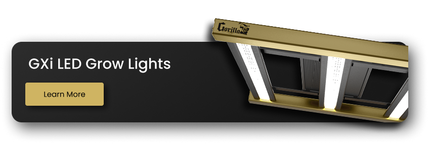 Xi LED Grow Lights