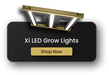 Xi Temp & Humidity Sensor