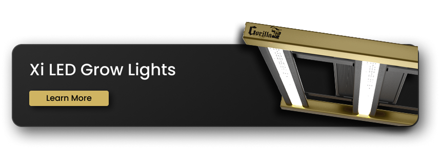 Xi Temp & Humidity Sensor