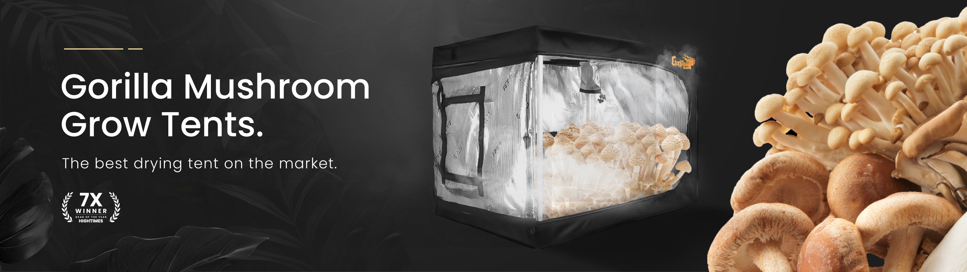 Gorilla Mushroom Grow Tents advertisement with a mushroom grow tent and mushrooms on a black background.