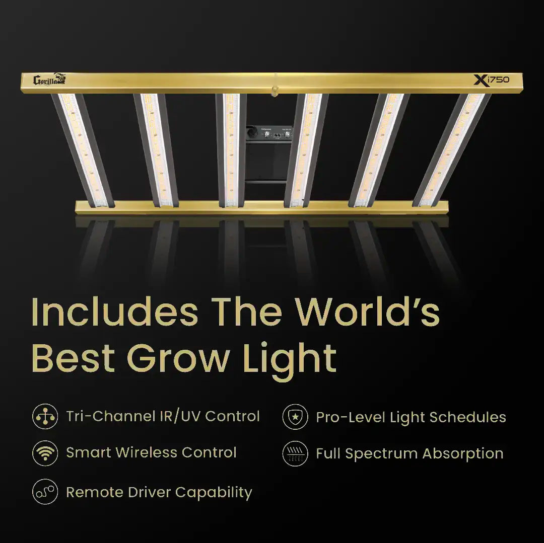 5x9 Gorilla Grow Room - Hydroponic