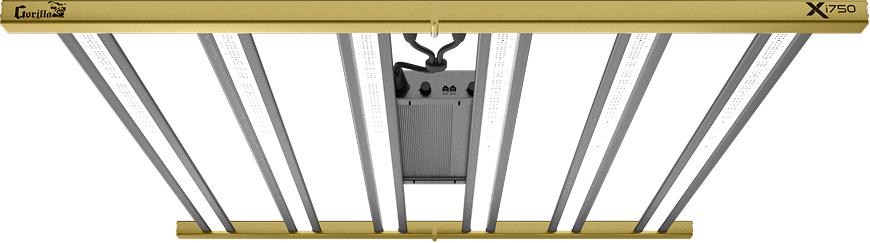 Xi 220