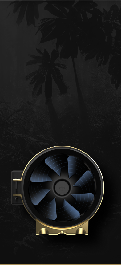 Section 5 Mobile Background