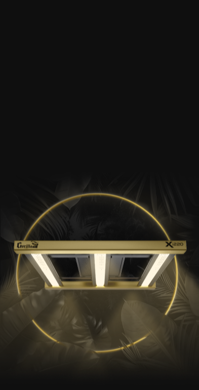 Section 1 Mobile Background