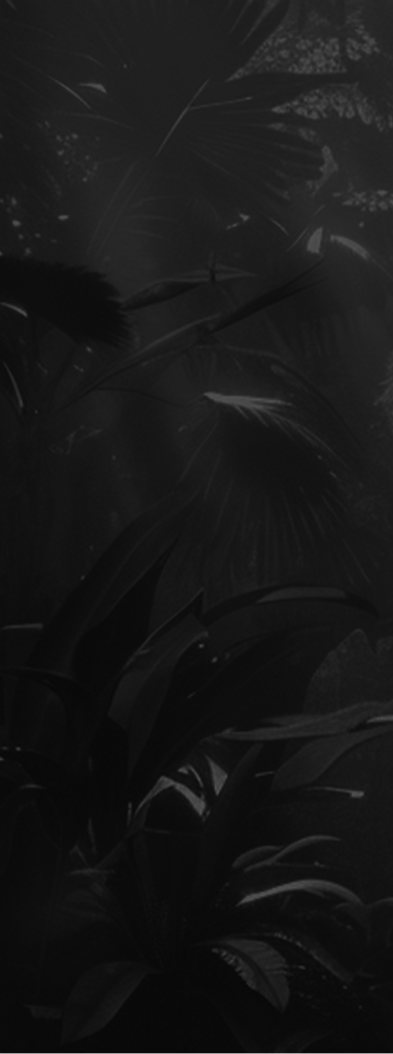 Section 9 Mobile Background