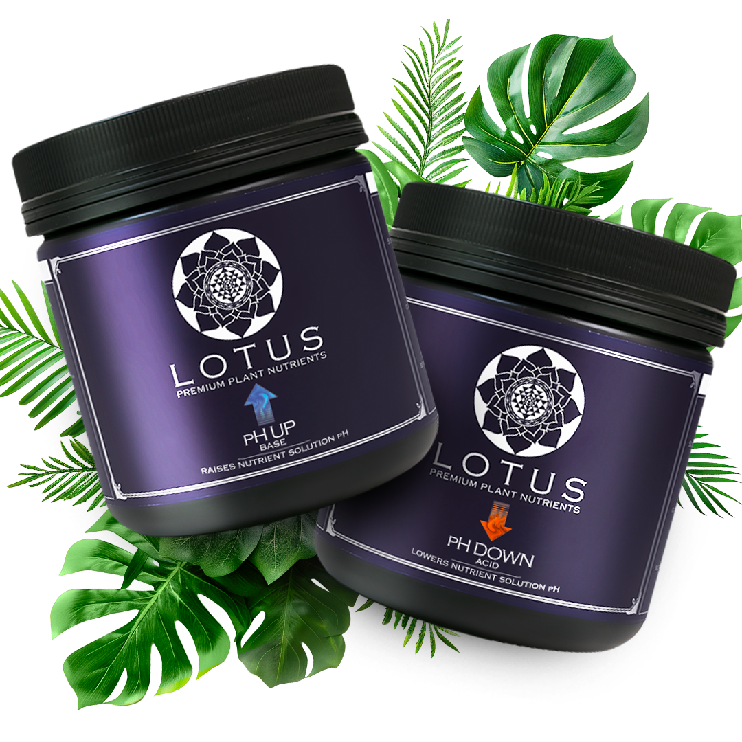 pH Control Kit | Lotus Nutrients for Perfect pH Balance