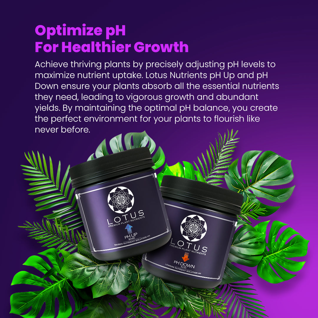 pH Control Kit – Lotus Nutrients for Perfect pH Balance