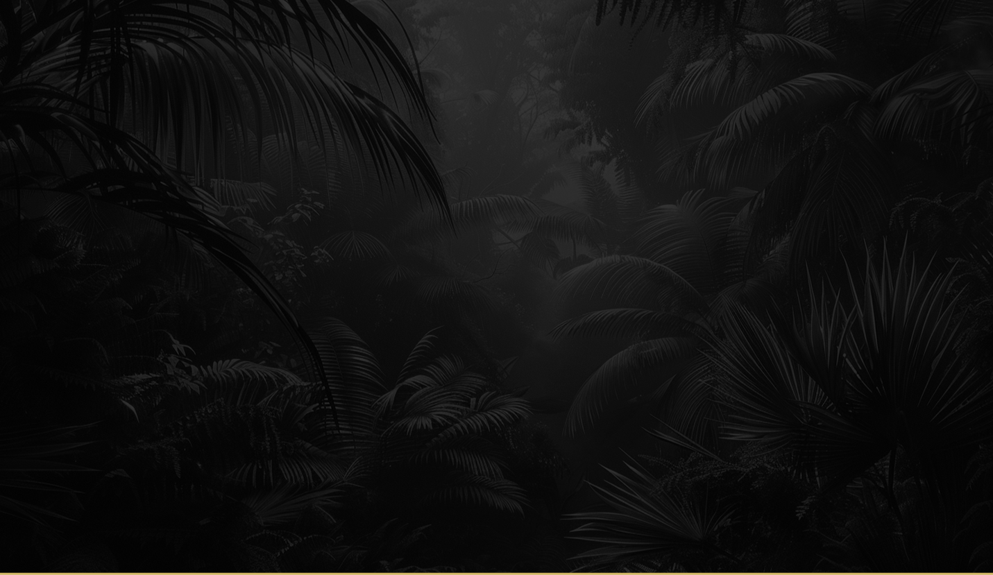Section 5 Background