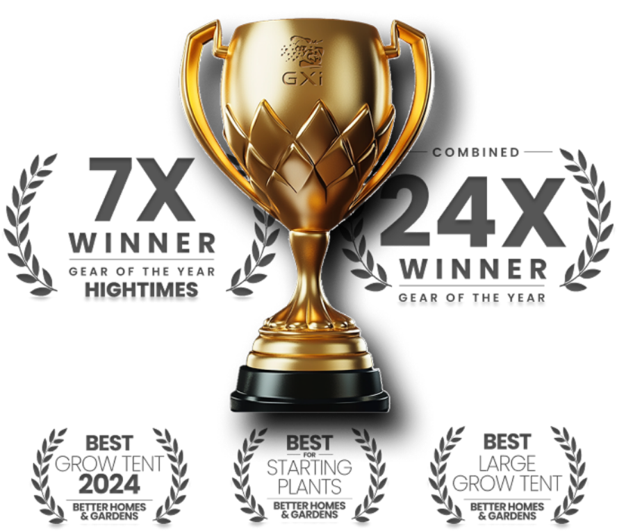 Trophy and Awards