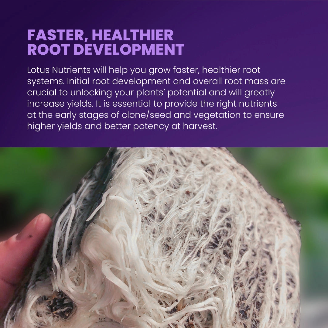 Lotus Nutrients Cal Mag for Plants