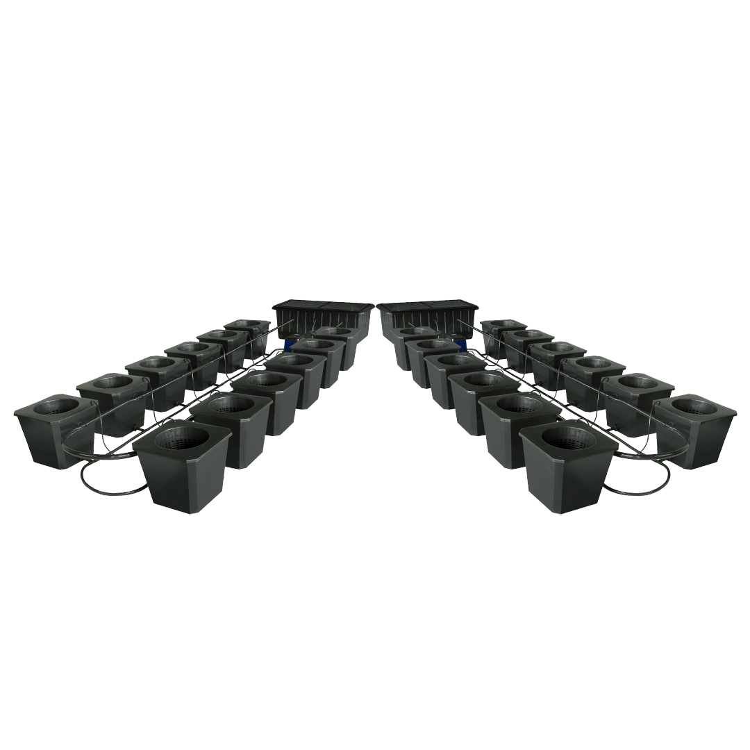 Hydroponic Bucket System