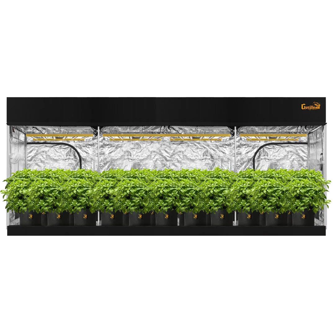 Large Grow Tent Guide