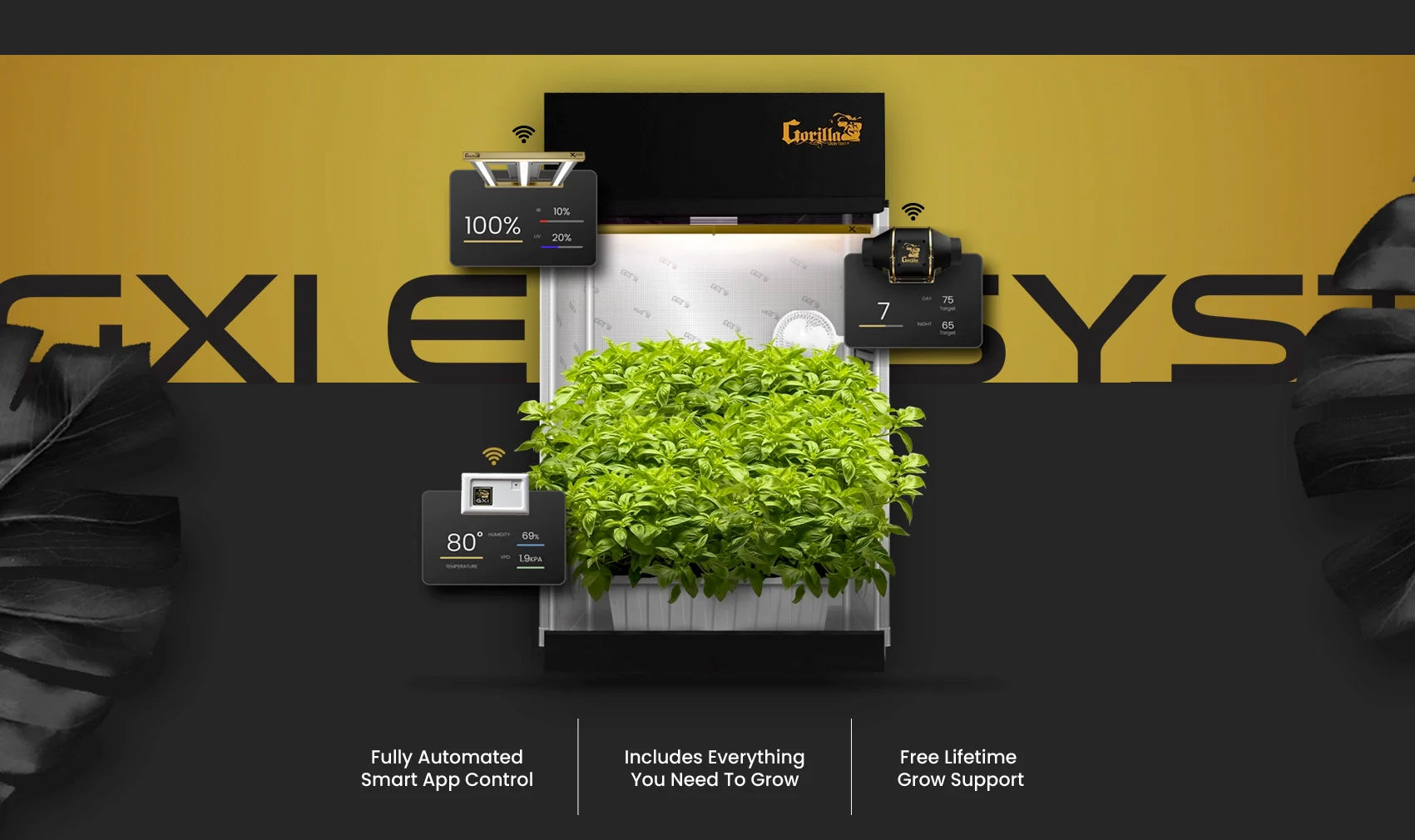 How to Grow Hydroponic Cannabis: Your Complete Guide to Soilless Cultivation