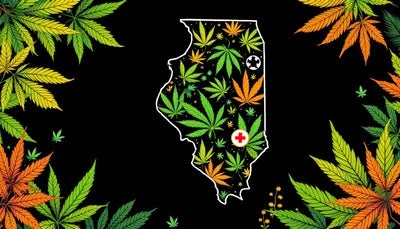 Can You Grow Cannabis in Illinois?