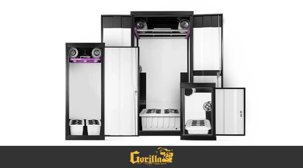 Discovering the World of Hydroponic Grow Cabinets