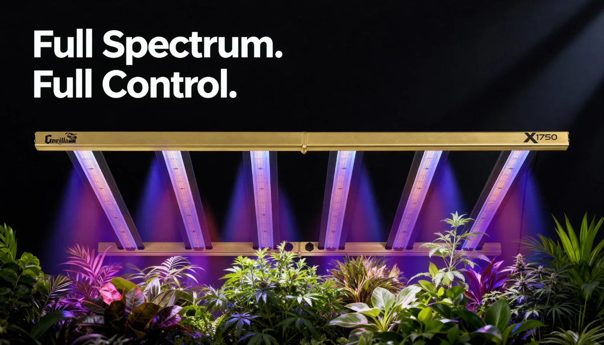 Full-Spectrum-Led-Grow- Full-Spectrum-Led-Grow-