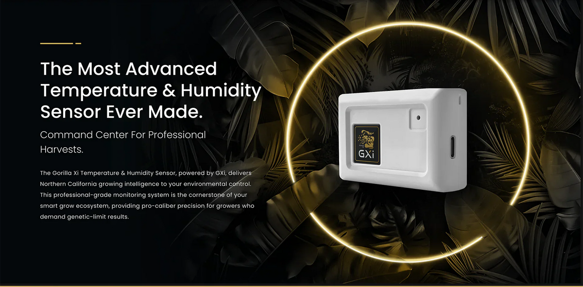 How to Raise Humidity in a Grow Tent: Easy Tips for Success