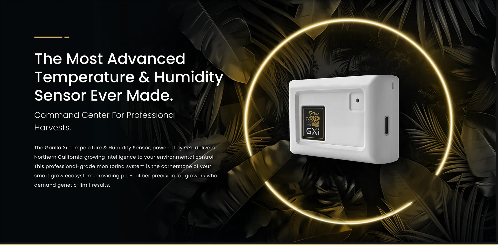 humidity and tempature sensor