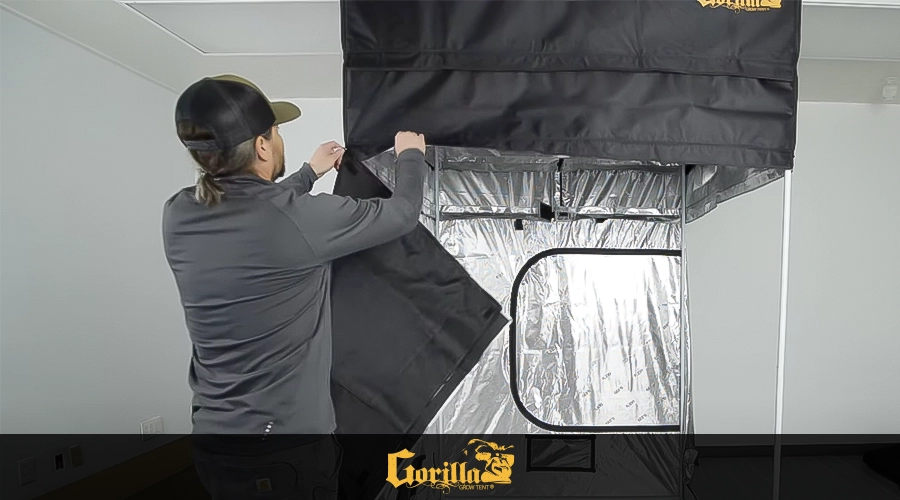 Gorilla Grow Tent Setup