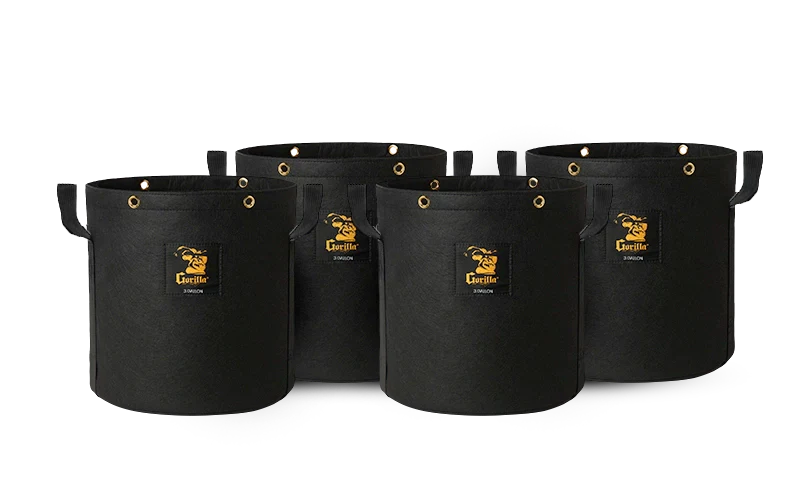What Size Grow Bag for Tomatoes: Complete Guide to Choosing the Right Container