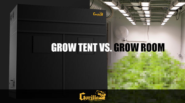 Comparative image of a grow tent and a grow room, highlighting their features.