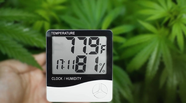 How to Maintain Optimal Temperature and Humidity in Your Grow Tent