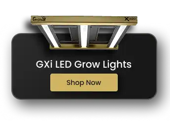 Best Weed Grow Lights: The Complete Guide to Cannabis LED Lighting