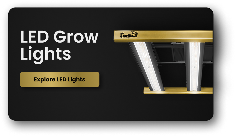 Best Budget LED Grow Lights for Beginners: Your Smart Start Guide