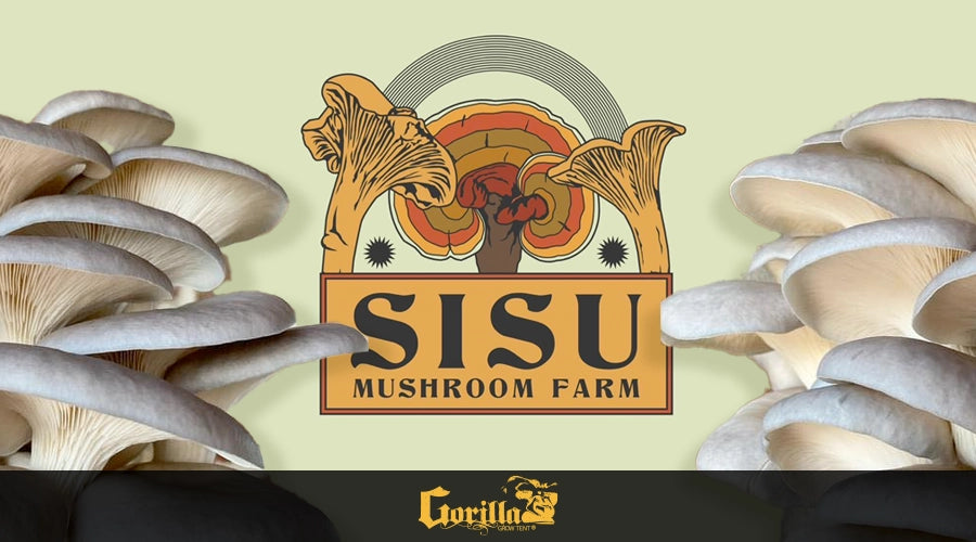 Cultivating Success: Sisu Mushrooms' Journey with Gorilla Grow Tents