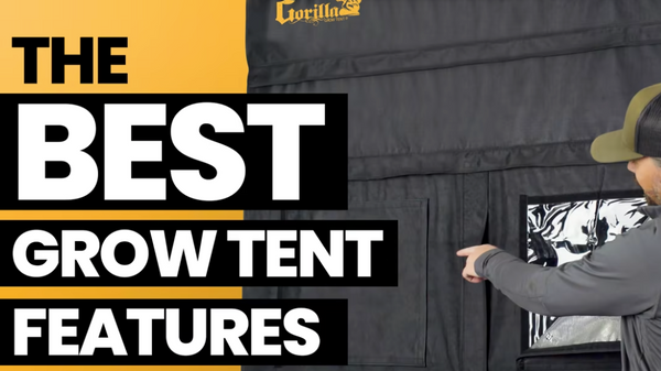 What Size Grow Tent for Beginners? 