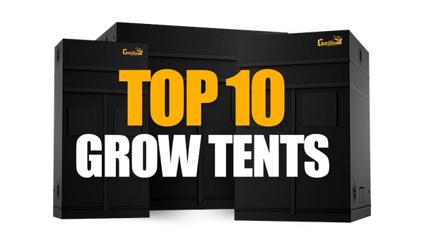 Top 10 Grow Tents for Indoor Gardening
