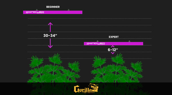 The Optimal Distance Between LED Grow Lights and Your Plants