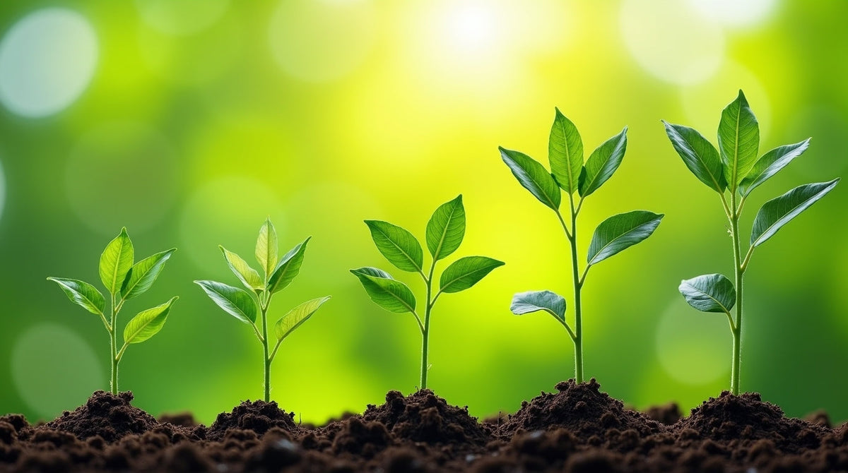 Essential Nutrients for Plant Growth: Complete Guide to Macro ...