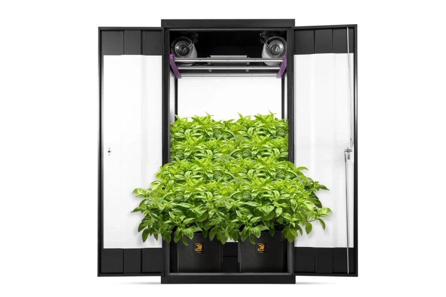 Grow Room Temperature and Humidity Management