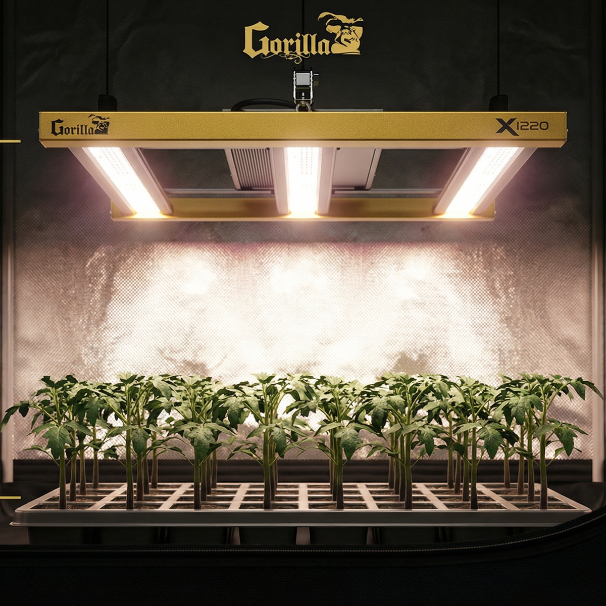 indoor planting system The Rise Garden 3