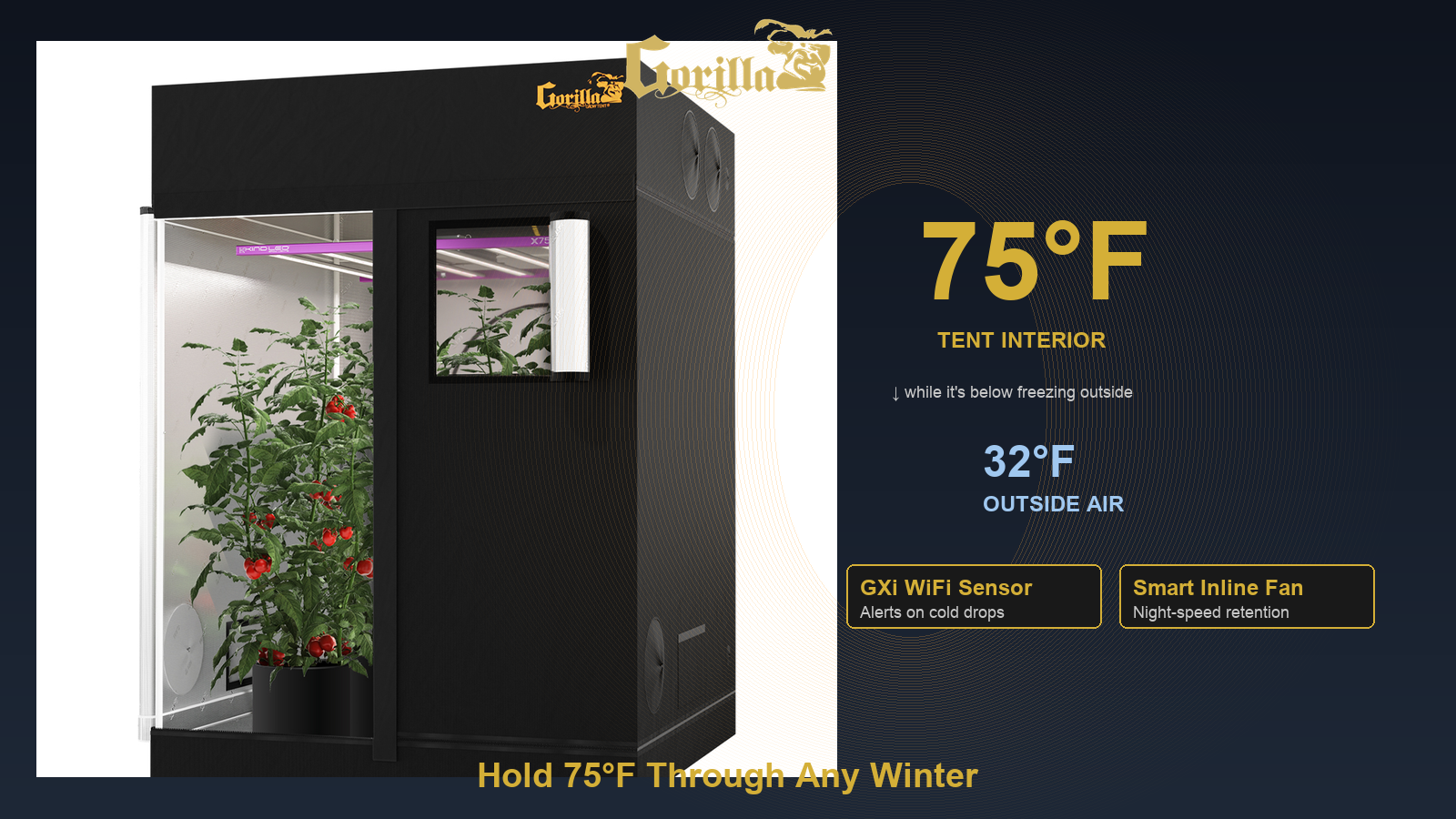 Gorilla Grow Tent holding 75°F interior temperature with GXi WiFi sensor and smart inline fan while outside air is 32°F — winter growing
