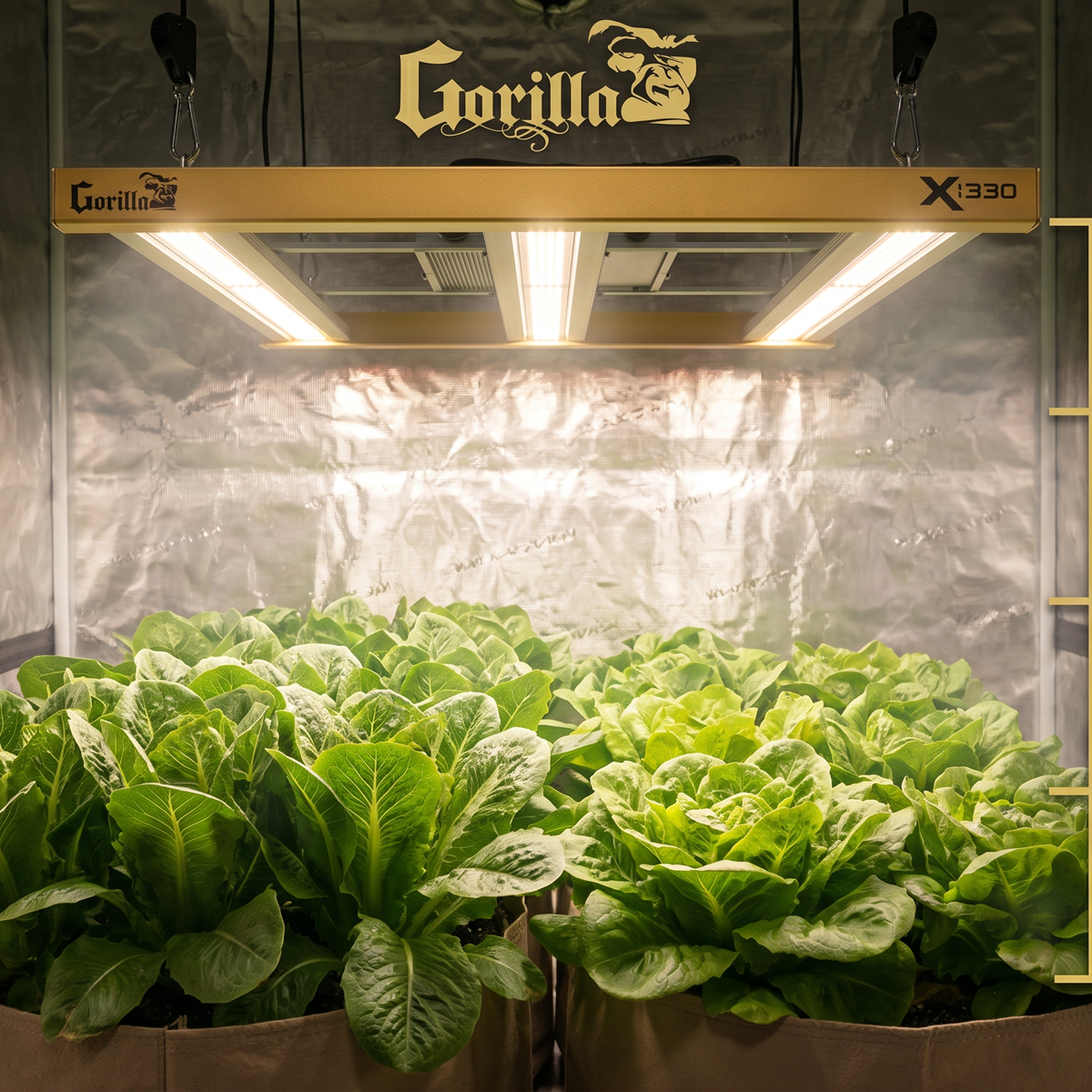 Grow Lights Lagarden Grow Tent LED Grow Light Distance Chart