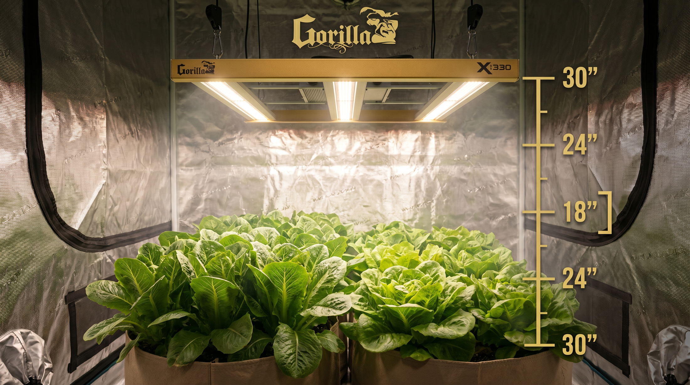LED Grow Light Distance Chart Optimal Height for Every Xi Model & Gro