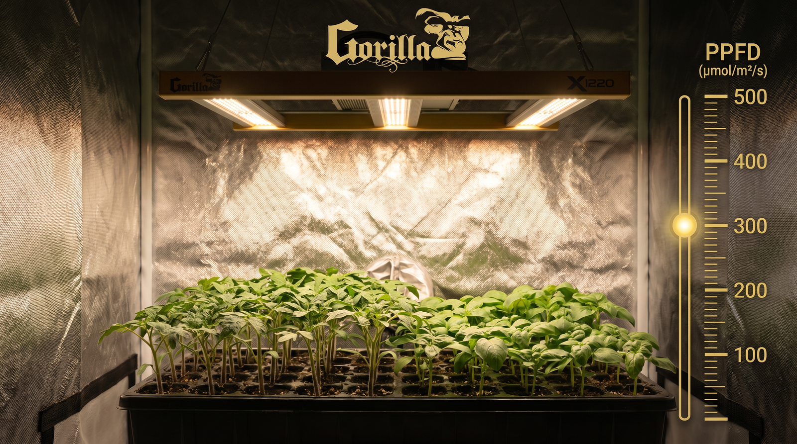 PPFD for Seedlings Complete Light Guide for Indoor Growing Success