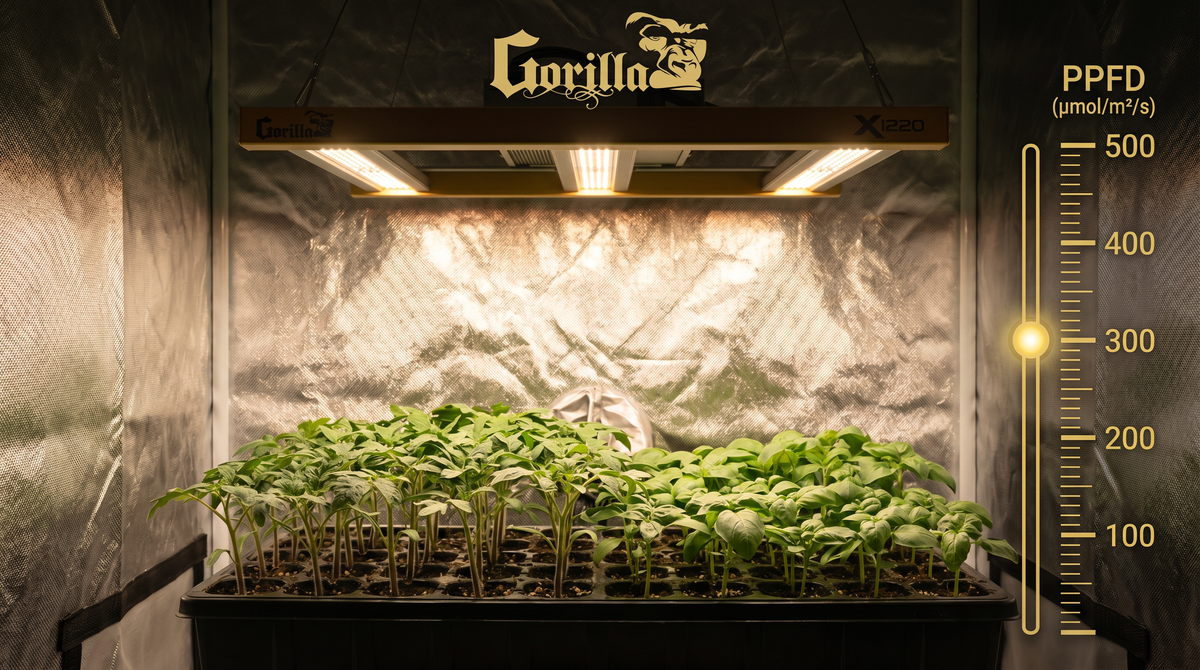 PPFD for Seedlings: Complete Light Guide for Indoor Growing Success