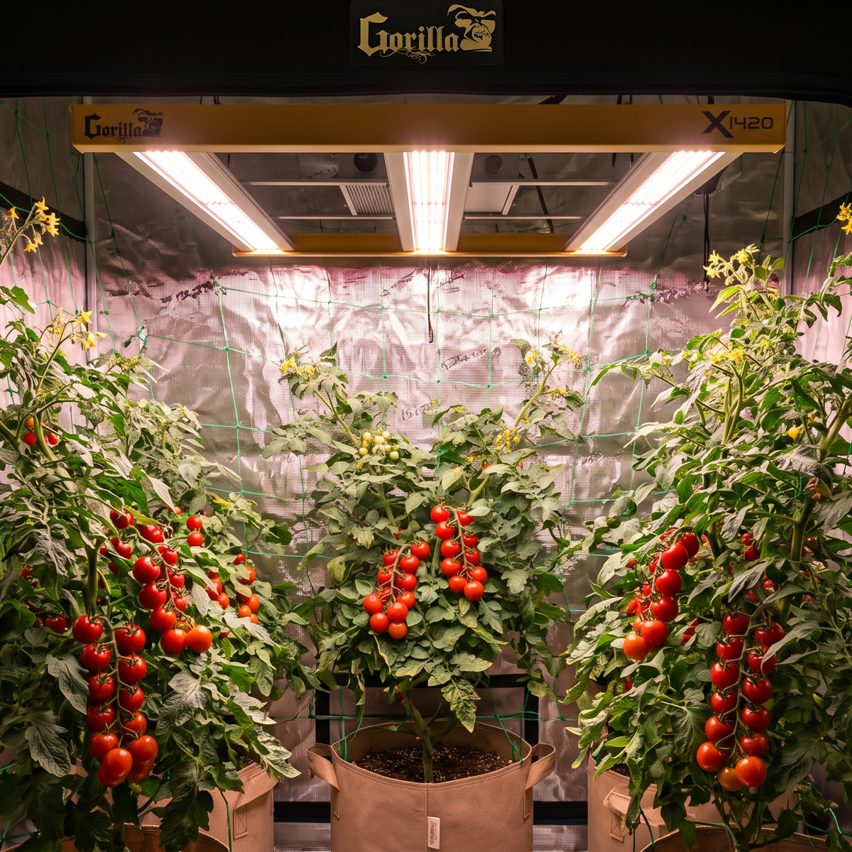 Grow Lights for Tomatoes: Complete Indoor Growing Guide 2025
